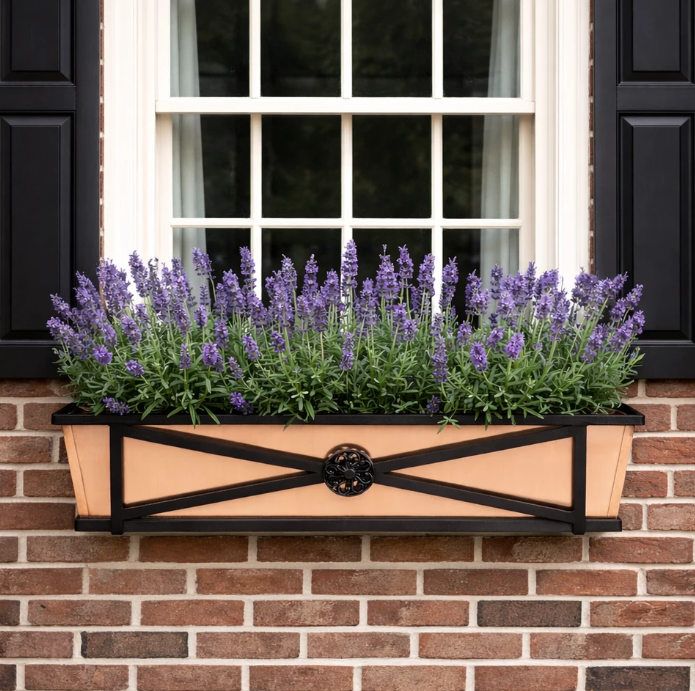 Flowers in a window box