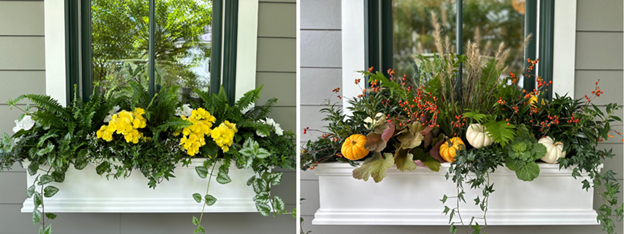 2 window boxes side by side, one planted with spring flowers, the other planted with fall foliage